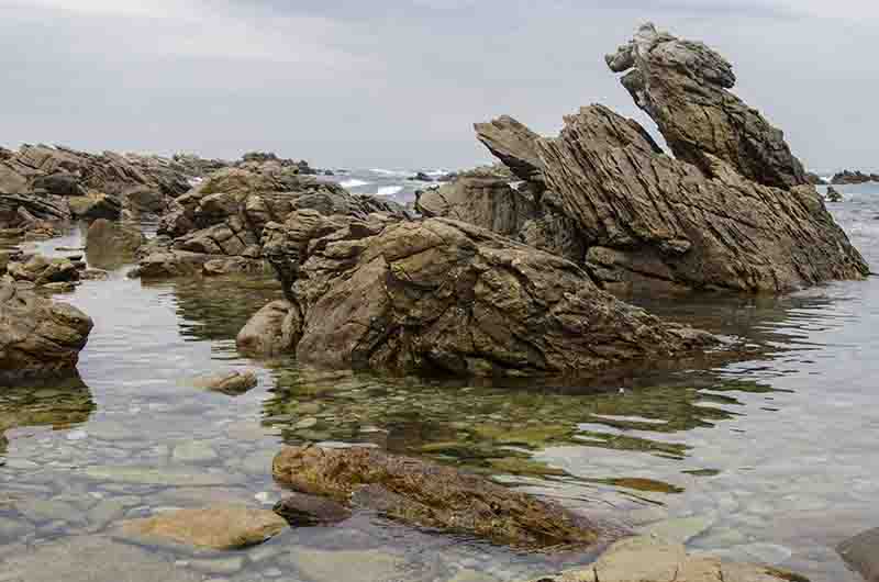 68 - Sudafrica - parque nacional Agulhas - cabo Agulhas - paisaje